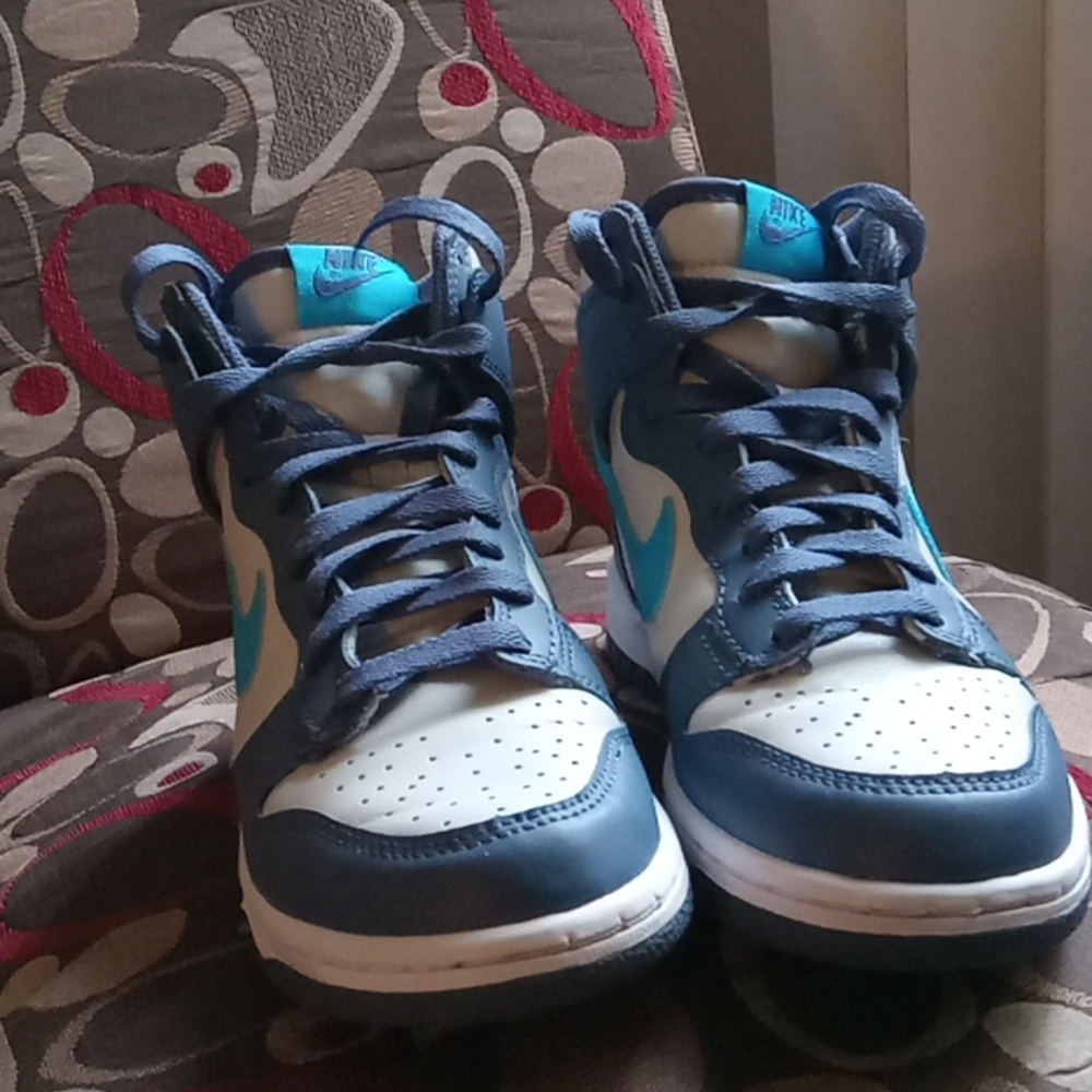 Nike Dunk hi